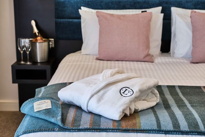 Imagen de la habitación del Hotel Llanerch Vineyard. Foto 11