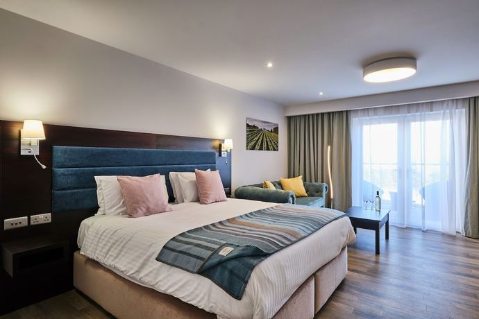 Imagen de la habitación del Hotel Llanerch Vineyard. Foto 16