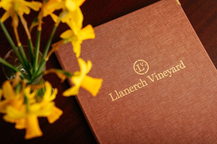 Imagen de los interiores del Hotel Llanerch Vineyard. Foto 20