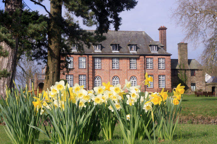 Imagen del bar/restaurante del Hotel Llansantffraed Court. Foto 8