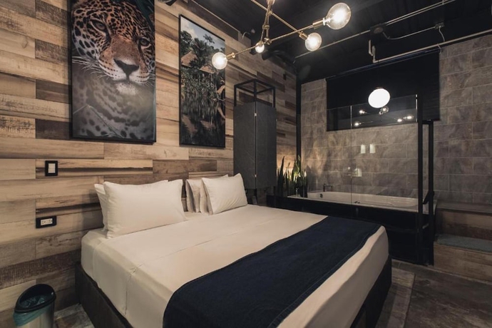 Imagen de la habitación del Hotel Lleras Park Concept. Foto 14