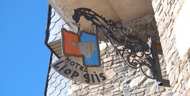 Imagen general del Hotel Llop Gris. Foto 10