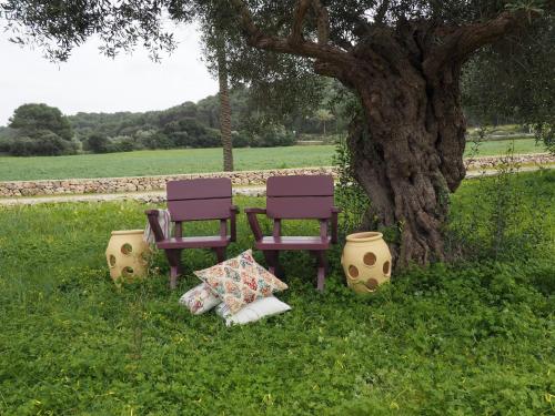 Imagen de los exteriores del Hotel Llucatx Menorca. Foto 11