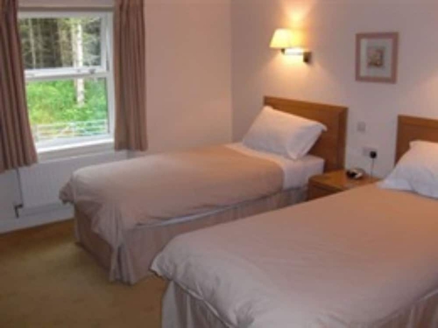 Imagen de la habitación del Hotel Llwyn Onn Guest House. Foto 6