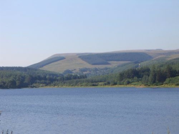 Imagen de los exteriores del Hotel Llwyn Onn Guest House. Foto 12