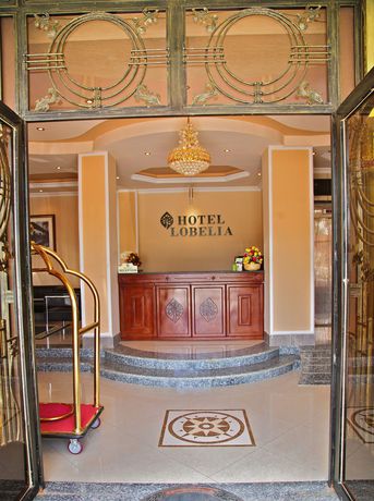 Imagen de la habitación del Hotel Lobelia. Foto 8