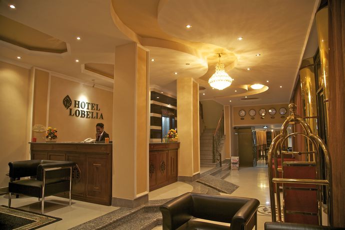Imagen de los interiores del Hotel Lobelia. Foto 15