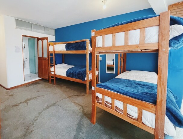 Imagen de la habitación del Hotel Lobo Hostel La Paz. Foto 10