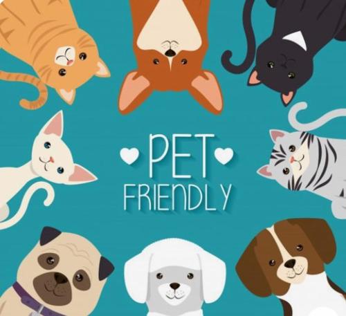 Imagen general del Hotel Lobo de Mar - Necochea. Foto 7