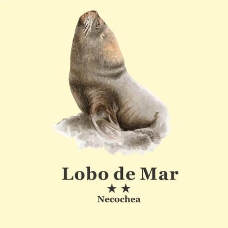 Imagen general del Hotel Lobo de Mar - Necochea. Foto 8