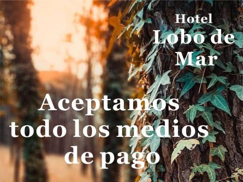 Imagen general del Hotel Lobo de Mar - Necochea. Foto 9