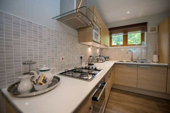 Imagen de la habitación del Hotel Loch Lomond Waterfront Luxury Lodges. Foto 11