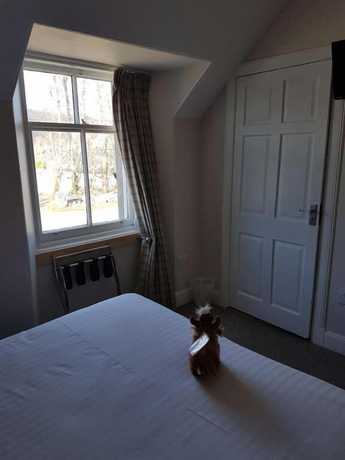 Imagen de la habitación del Hotel Loch Ness Guest House. Foto 4