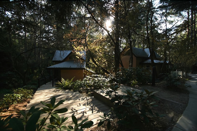 Imagen de los interiores del Hotel Lochiel Luxury Accommodation. Foto 19