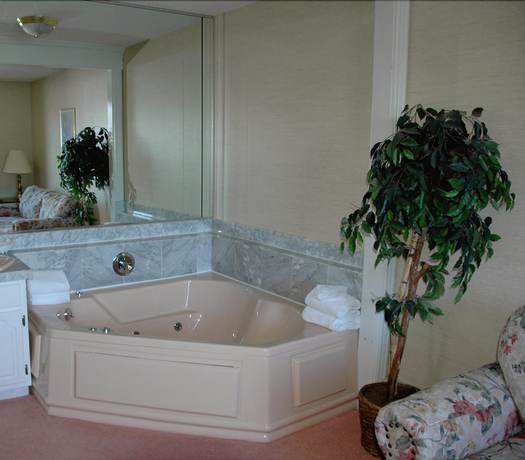 Imagen de la habitación del Hotel Lockport Inn and Suites. Foto 12