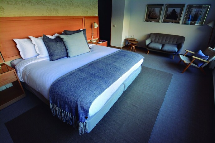 Imagen de la habitación del Hotel Lodge El Morado. Foto 16