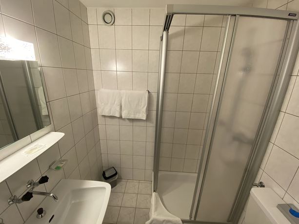 Imagen de la habitación del Hotel Lodge Inn, Fiesch. Foto 12