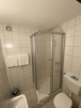 Imagen de la habitación del Hotel Lodge Inn, Fiesch. Foto 19