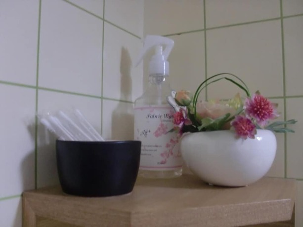 Imagen general del Hotel Lodge Marushige. Foto 10