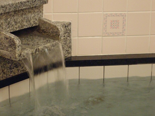 Imagen general del Hotel Lodge Matsuya. Foto 10