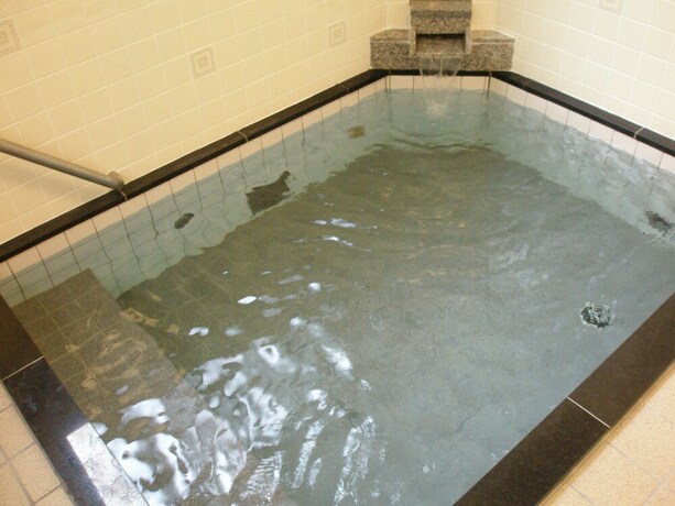 Imagen de los interiores del Hotel Lodge Matsuya. Foto 30