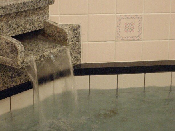 Imagen de la piscina del Hotel Lodge Matsuya. Foto 31