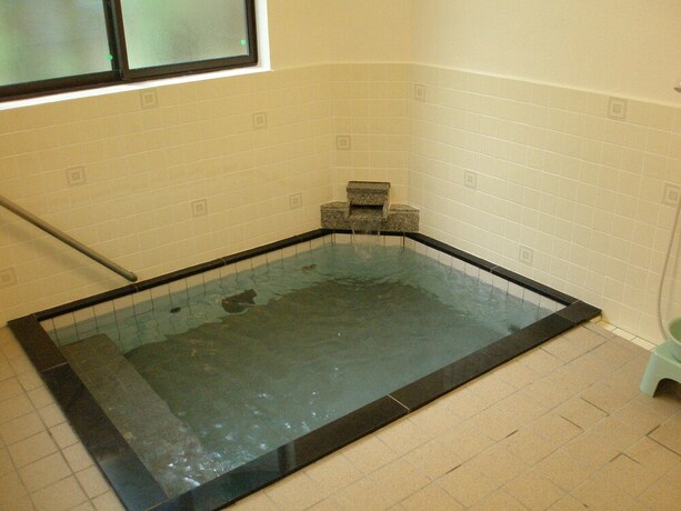 Imagen de la piscina del Hotel Lodge Matsuya. Foto 32