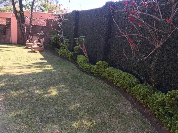 Imagen de los exteriores del Hotel Lodge Mungo. Foto 7