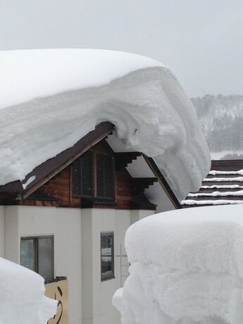 Imagen general del Hotel Lodge Nakajima. Foto 11