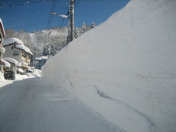 Imagen general del Hotel Lodge Nakajima. Foto 14