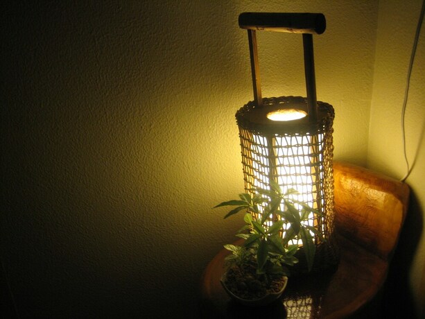 Imagen de los interiores del Hotel Lodge Nakajima. Foto 22