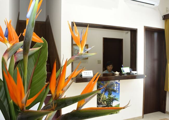 Imagen general del Hotel Lodge Ocean. Foto 13