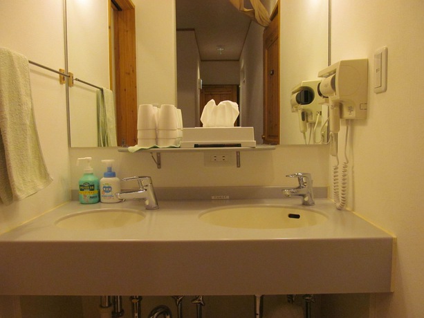 Imagen de la habitación del Hotel Lodge Orange Cabin. Foto 9