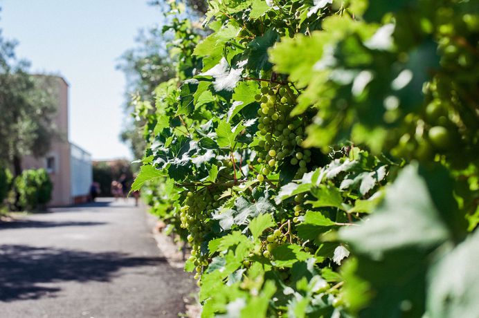 Imagen de la habitación del Hotel Lodges Mediterran&eacute;e. Foto 12