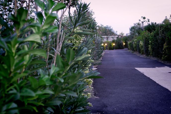 Imagen general del Hotel Lodges Mediterran&eacute;e. Foto 3