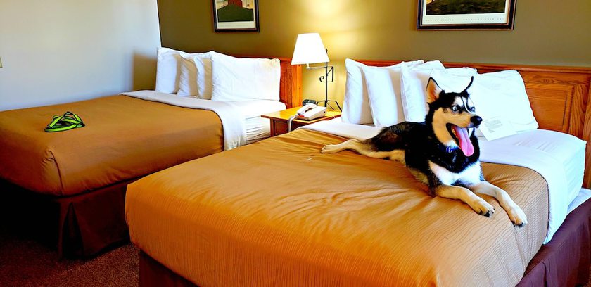 Imagen general del Hotel Lodging on the Square. Foto 2