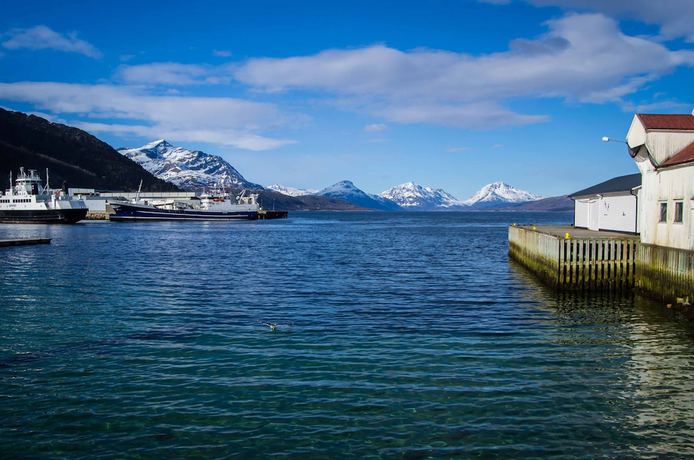 Imagen del bar/restaurante del Hotel Lofoten Gate Hostel. Foto 12