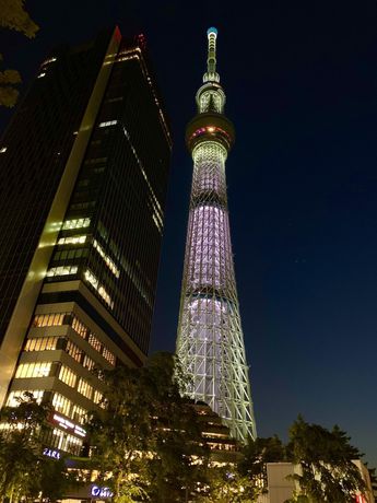 Imagen general del Hotel Loft Tokyo #asakusa. Foto 3