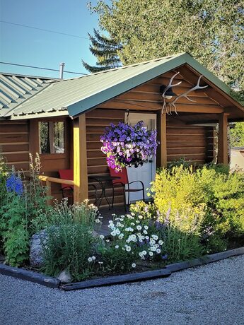 Imagen de la habitación del Hotel Log Cabin Motel. Foto 13