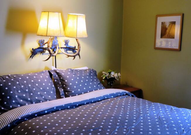 Imagen de la habitación del Hotel Log Cabin Motel. Foto 15