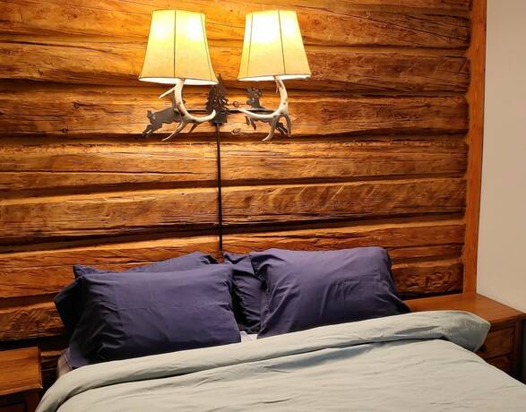 Imagen general del Hotel Log Cabin Motel. Foto 3