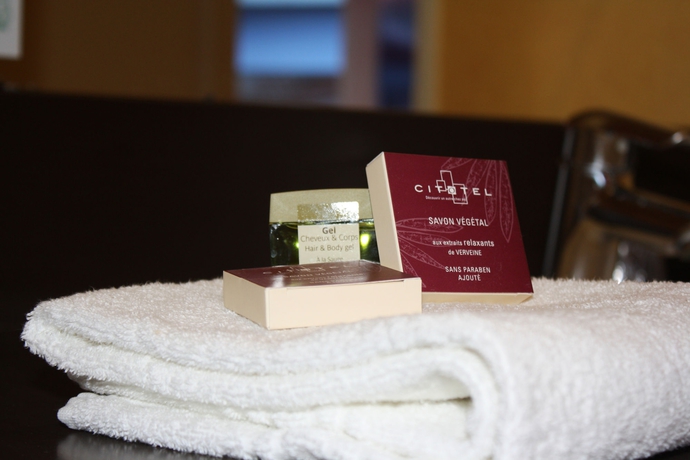 Imagen de la habitación del Hotel Logis Atrium. Foto 10