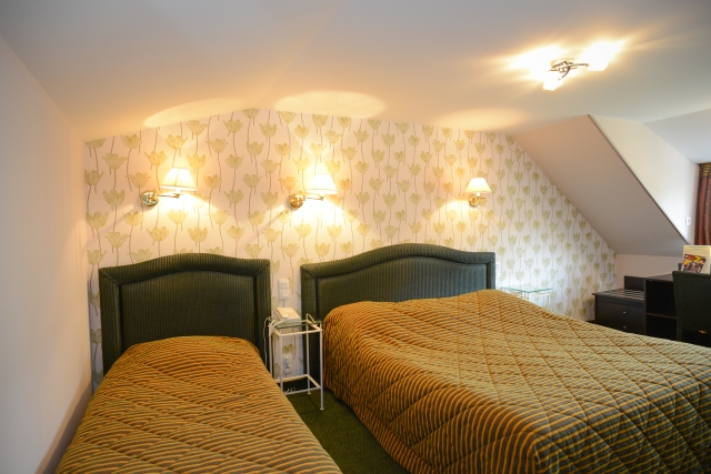 Imagen de la habitación del Hotel Logis De La Croix D'or. Foto 5