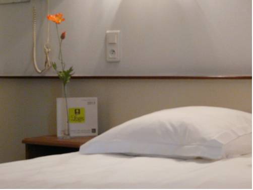 Imagen de la habitación del Hotel Logis De La Paix, Saint Nectaire. Foto 3
