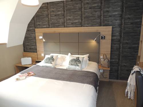Imagen de la habitación del Hotel Logis H&ocirc;tel Les Coudercous. Foto 11
