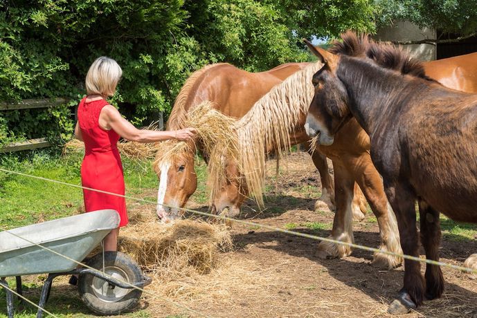Imagen general del Hotel Logis Hôtel Restaurant La Vieille Ferme. Foto 2