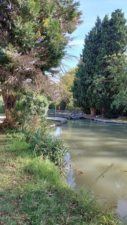 Imagen general del Hotel Logis Hôtel le Clos Saint-Loup. Foto 2