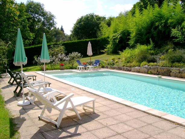 Imagen de la piscina del Hotel Logis Le Lion D'or. Foto 15