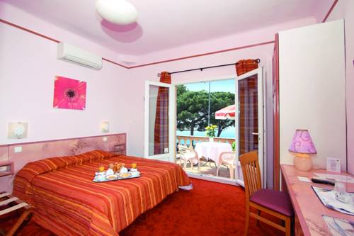 Imagen de la habitación del Hotel Logis Le Provencal. Foto 10