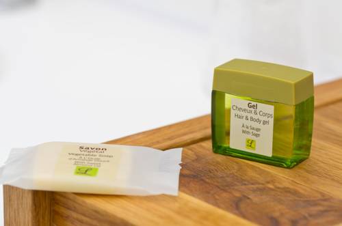 Imagen de la habitación del Hotel Logis Le Vert Galant. Foto 5